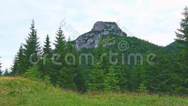 看看斯洛伐克国家公园马拉法特拉附近的马利罗祖特克山。 <strong>绿色</strong>树木、<strong>清新</strong>的森林和田园自然